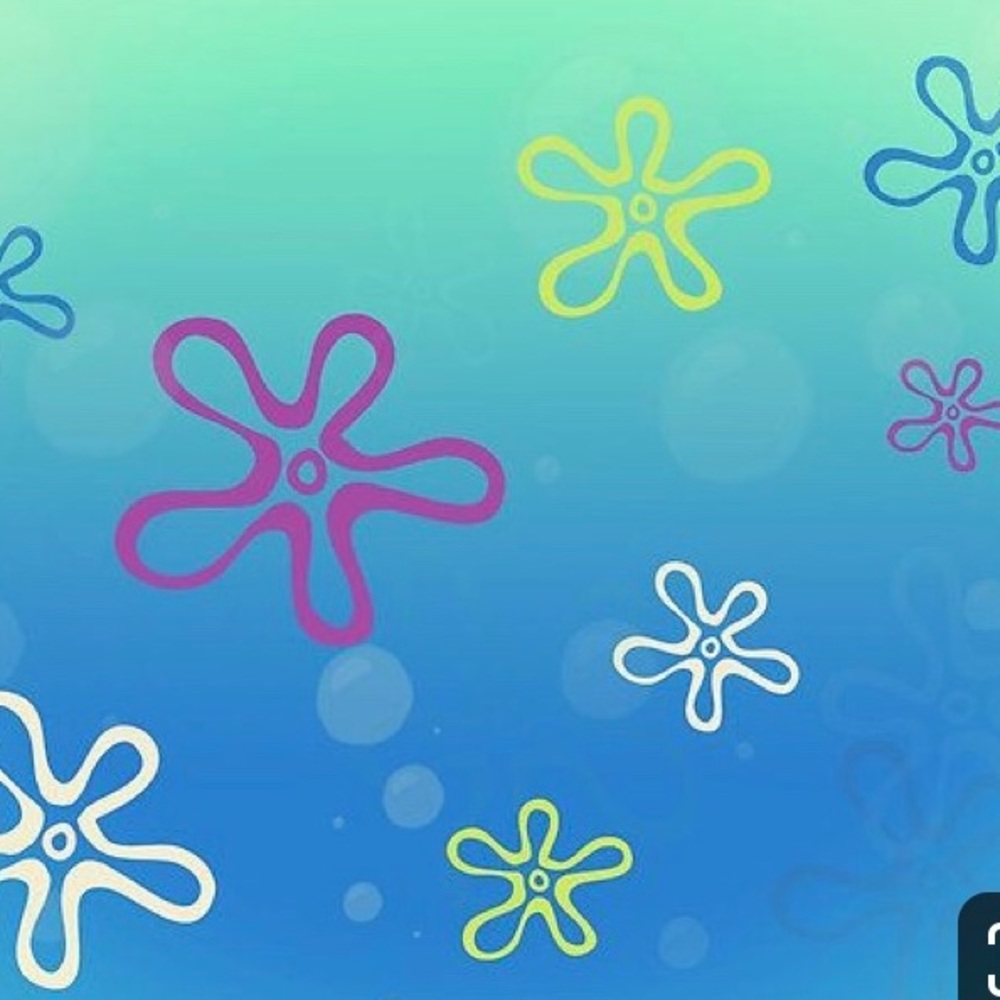 Meet your Posher, Orin